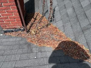 Fall leaves on a new roof